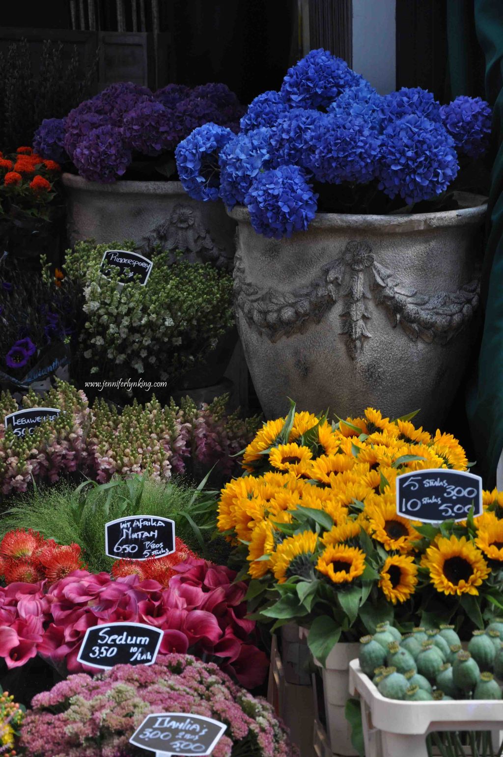 The Flower Markets, Amsterdam