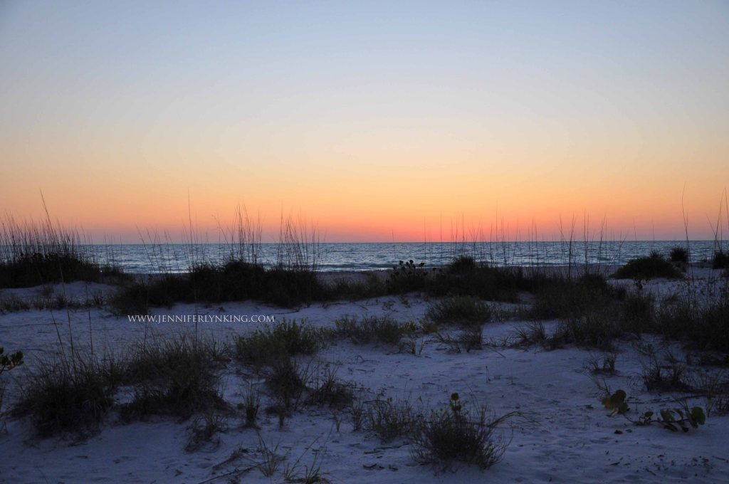 Little Gasparilla Island, Florida: paradise