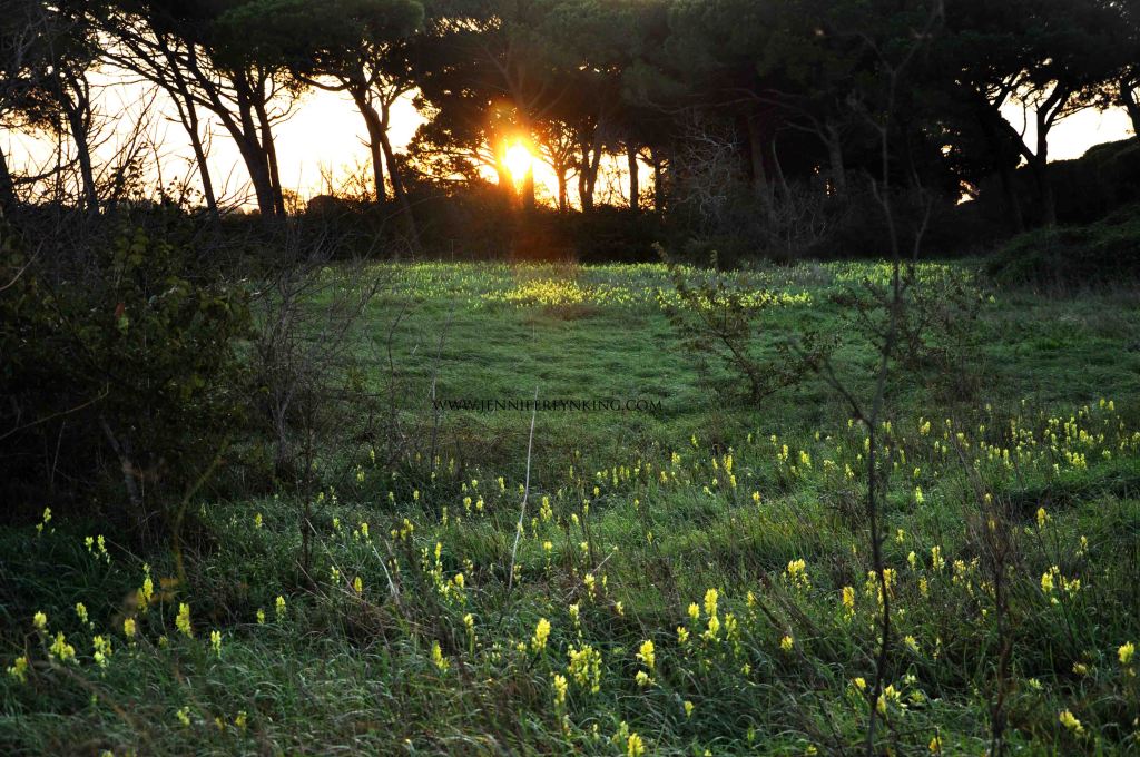 Maremma, Tuscany, Italy