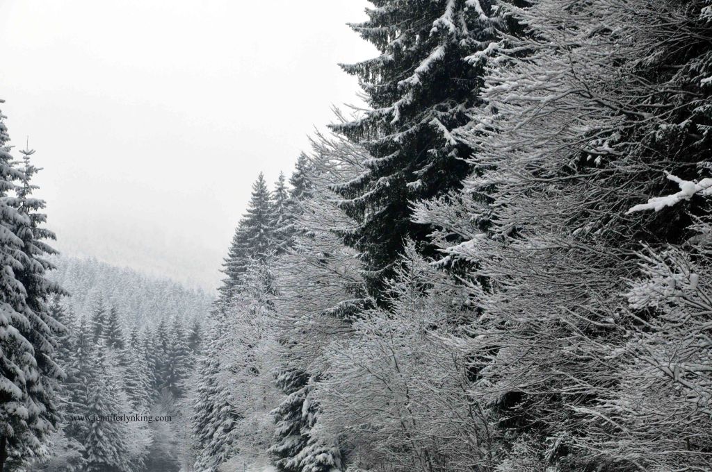 Austrian Alps at Christmas