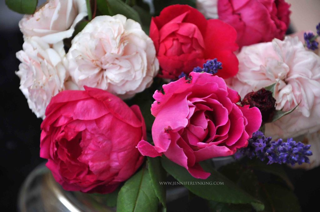 Roses from my Prague Garden
