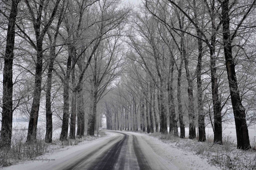 the drive into Poland from Czech