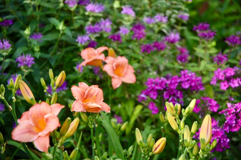 July gardens color palette