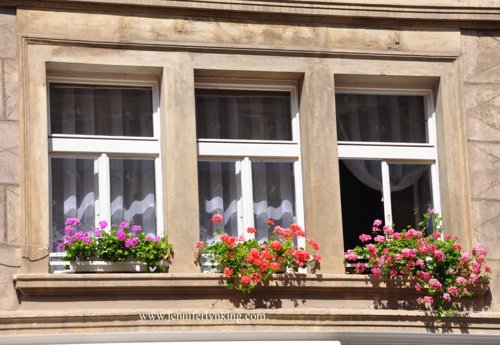 Window Boxes in Prague