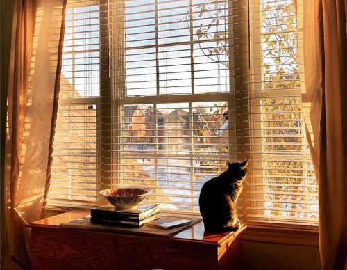 Bed Rest, slow down and be still
