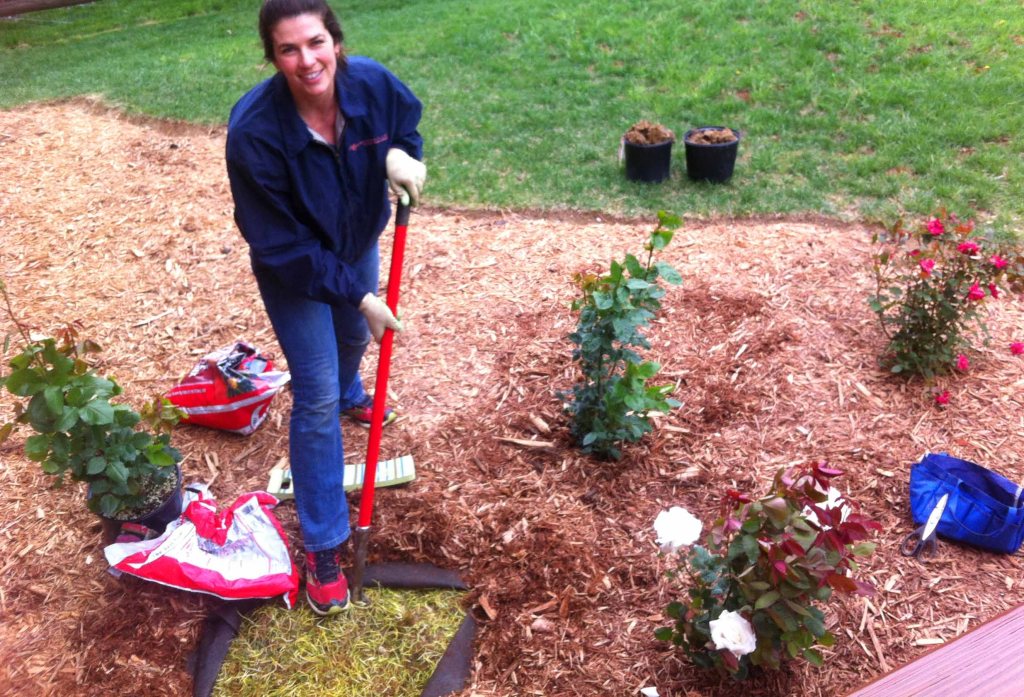 Me, planting a rose (my favorite)