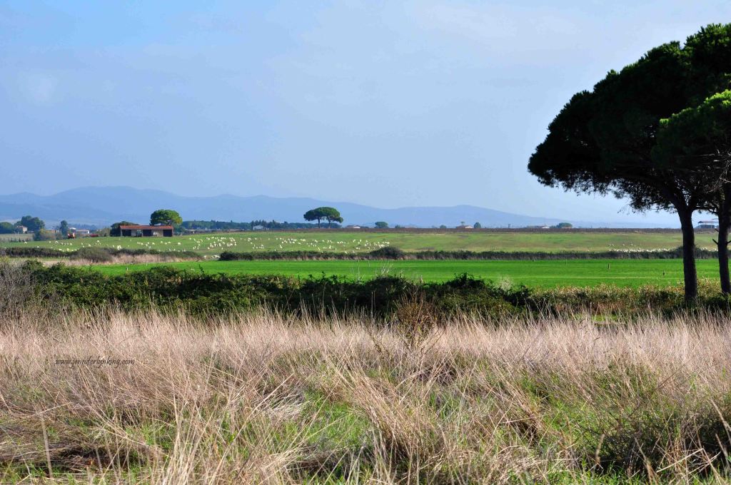 the quiet landscape in rural Tuscany