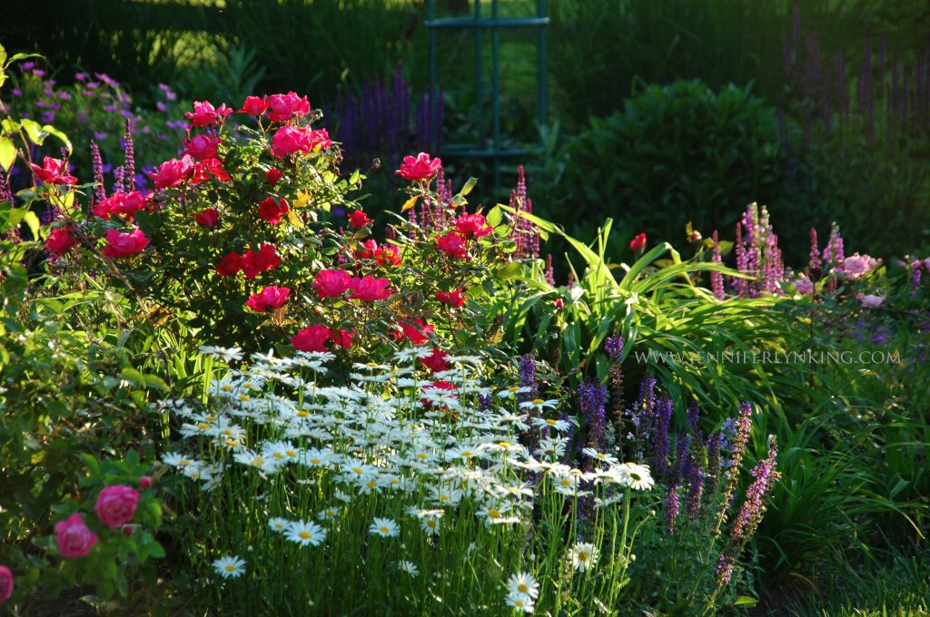 Summer Flowers