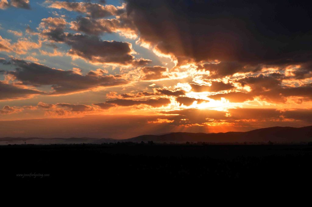The Tuscan Sun