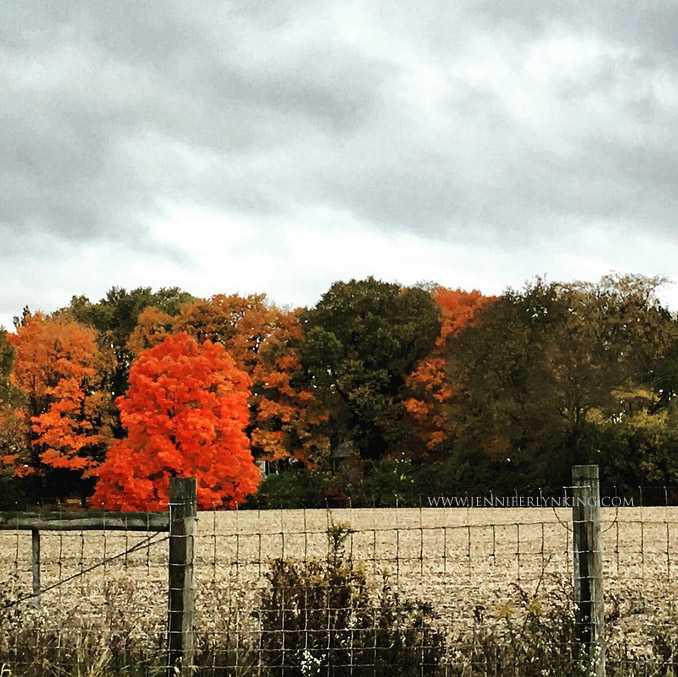 autumn splendor