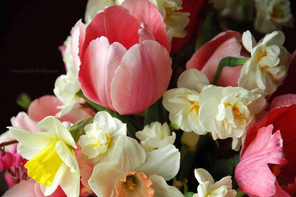 the Delicate Laughter of Spring