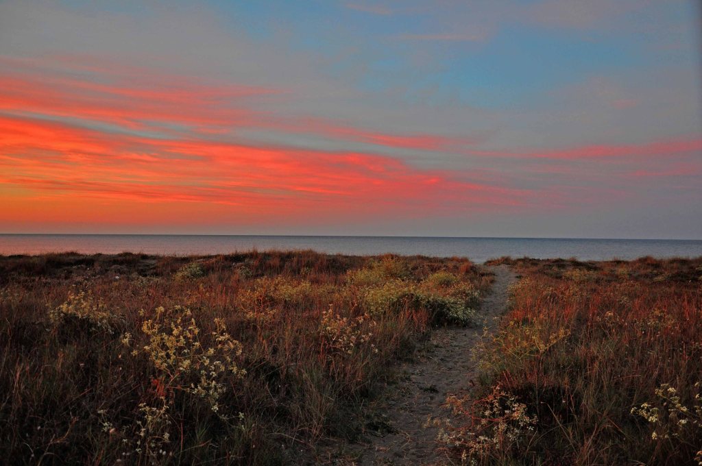 Maremma, Italy