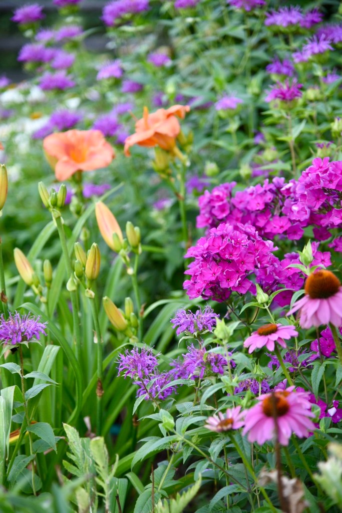 July gardens planting guide