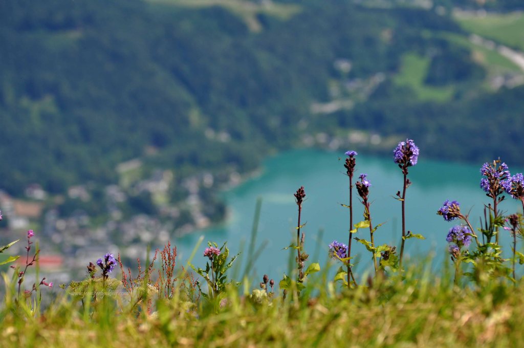 Paradise Found: St. Gilgen, Austria and the Zwolferhorn