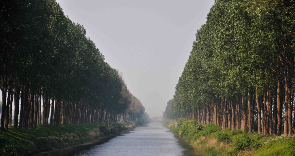 A Canal in Holland leading toward the Sea