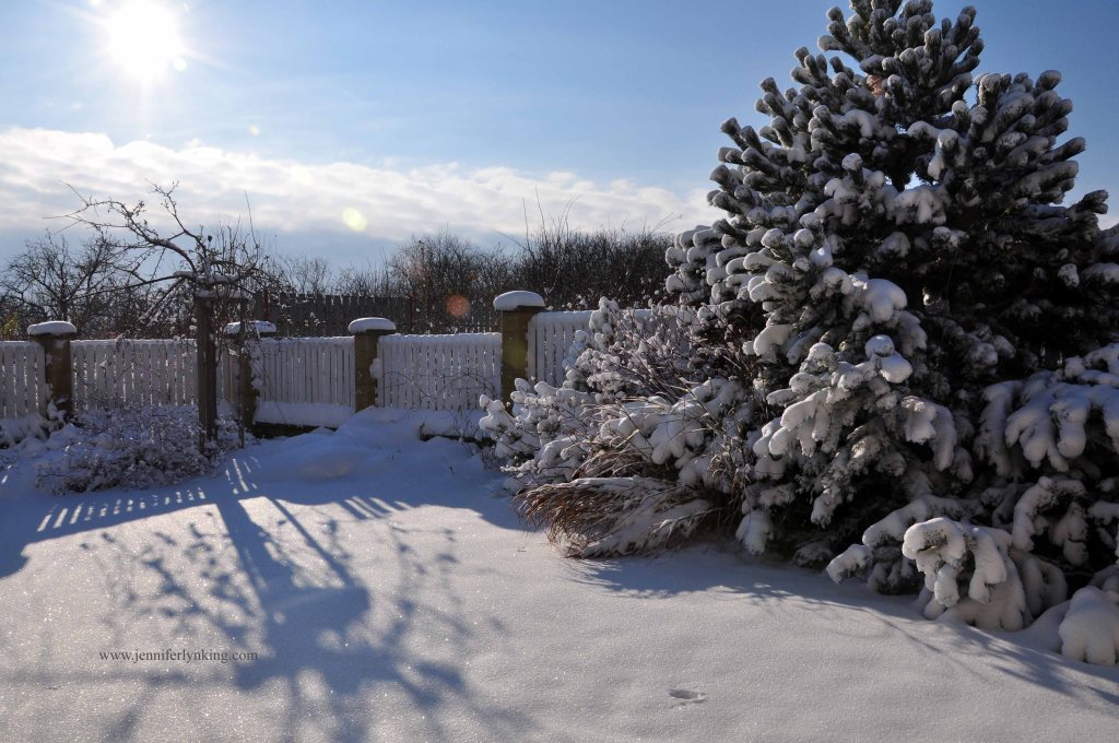 The sun dazzling on the snow