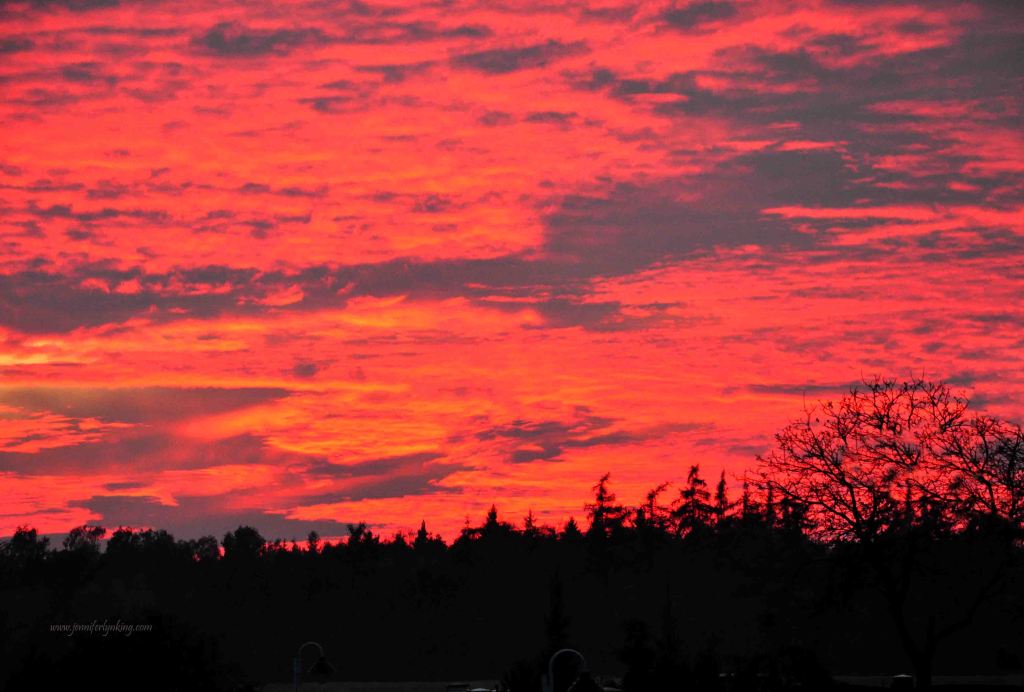 Brilliant Prague Sunset