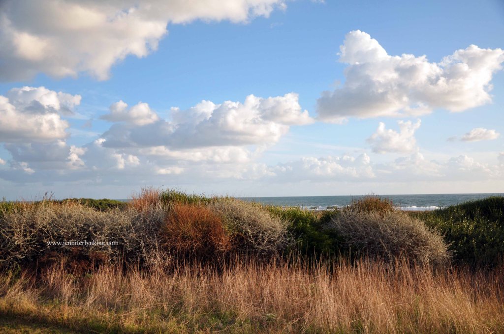 Maremma, Tuscany, Italy overlooking the Mediterranean Sea