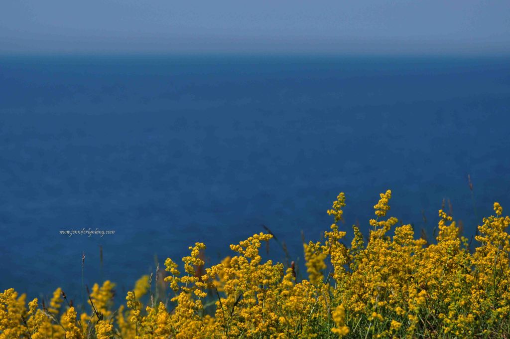 Sweden, and the colors of their flag and land and sea
