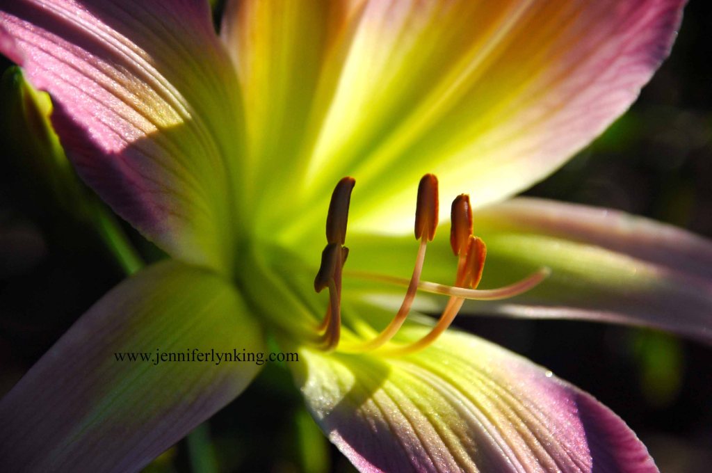 Love brings Life and Light