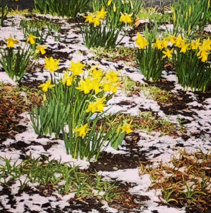 Spring / Winter in Ohio today