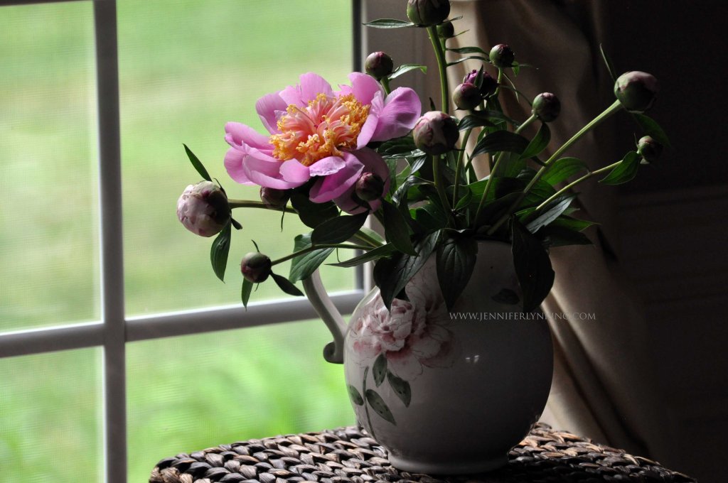 Peonies