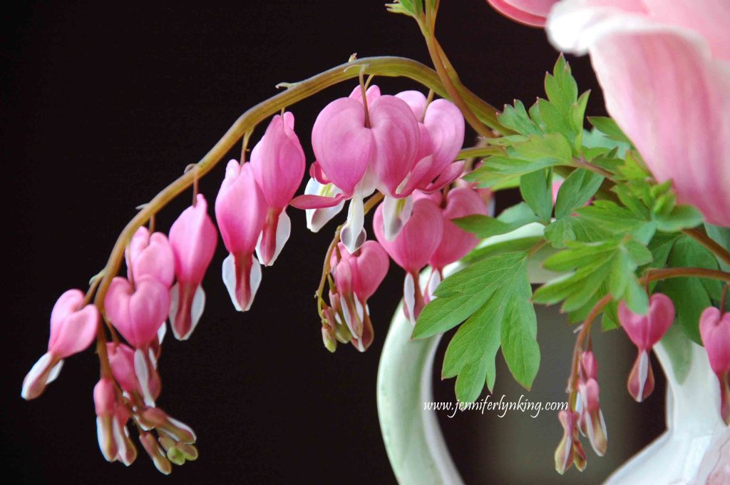 Bleeding Hearts bouquet