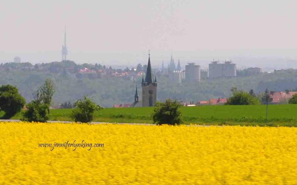 Golden Fields of Colza and the View over Prague and the Prague Castle