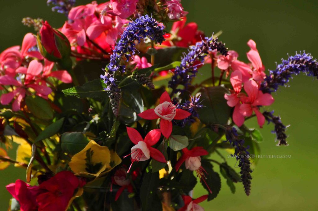 Flowers of Encouragement