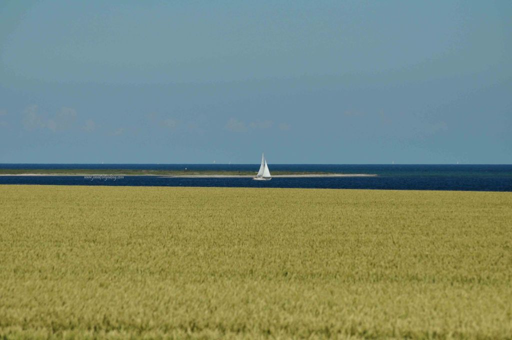 Sweden, Fields and Sea